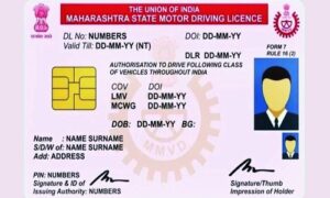 Driving License